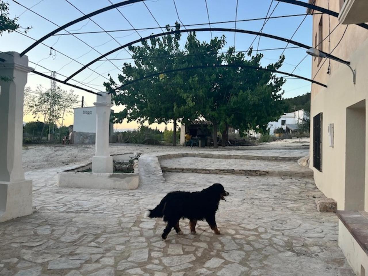 Country house Masia Bernat *